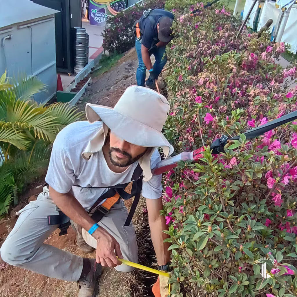 aterramento e projetos minas tenis